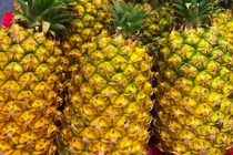 Dứa Việt 2.000 đồng/kg thối đầy đồng, nhà giàu ăn dứa ngoại 300.000/quả