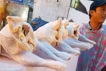 Sự thật sốc về "gà mái đẻ" 40-50.000đ/kg: Thường dùng cho chó, mèo