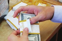 Tỷ giá USD/VND: Lịch sử đang lặp lại