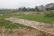 Điểm nóng Sài Gòn, 1 phường có 9 khu phân lô trái phép