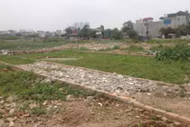 Điểm nóng Sài Gòn, 1 phường có 9 khu phân lô trái phép