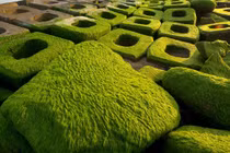 Đổ xô đến Phú Yên ngắm những khối bê tông rêu phong xanh ngắt