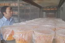 Giấu vợ, cắm sổ đỏ vì mê nuôi đông trùng hạ thảo