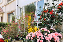 Bất ngờ với nhà của các MC nổi tiếng VTV