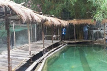 Khu du lịch tại suối Lương vẫn xây "lụi" bất chấp lệnh cấm