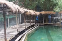 Khu du lịch tại suối Lương vẫn xây "lụi" bất chấp lệnh cấm