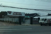 Nhận diện ông "trùm" địa ốc Alibaba