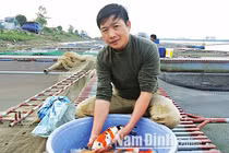 Nuôi đàn "quốc ngư" của Nhật Bản trên sông Hồng, lãi 2 tỷ/năm