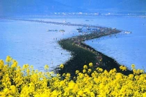 Giải mã hiện tượng biển đột ngột rẽ đôi như trong truyền thuyết