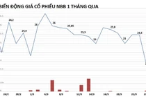 Chủ đầu tư Carina mất 170 tỷ sau một đêm vì cổ phiếu giảm