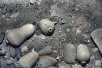 Kho báu 17 tỷ USD ẩn dưới đáy biển Caribe suốt 300 năm