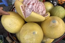 Bưởi lạ khổng lồ, vỏ vàng bóng, bọc kín nilon tràn về chợ Việt