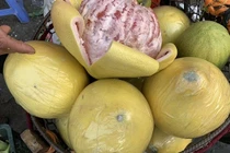 Bưởi lạ khổng lồ, vỏ vàng bóng, bọc kín nilon tràn về chợ Việt