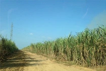 Chiêm ngưỡng những "mỏ vàng" nghìn tỷ mới của bầu Đức