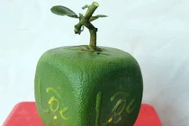 Bưởi hình vuông có chữ 4 mặt chưa từng thấy