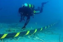 Cáp quang biển gặp sự cố, Internet Viêt Nam lại bị ảnh hưởng