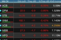 Vì sao thị trường chứng khoán bốc hơi 20 tỷ USD?