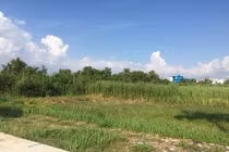 Thanh tra toàn diện công ty địa ốc Phi Long bị tố lừa đảo