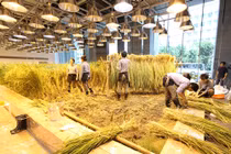 Kinh ngạc hình ảnh không thể tin nổi trong tòa nhà 9 tầng