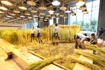 Kinh ngạc hình ảnh không thể tin nổi trong tòa nhà 9 tầng