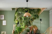 Ngăn cái nóng 40 độ bằng vách ngăn xanh cho căn hộ