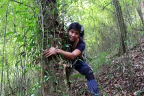 Chinh phục "cụ chè" shan tuyết - "kho báu" của đại ngàn Tây Bắc