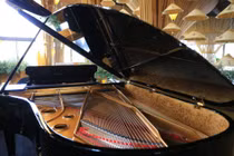 Đàn piano 3 tỷ được đặt riêng cho tiệc Đệ nhất Phu Nhân APEC