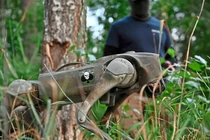 Ukraine triển khai đội quân “khuyển robot” ra tiền tuyến