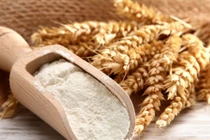 Công dụng của bột yến mạch có thể bạn chưa biết