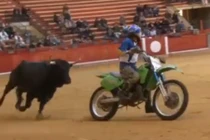 Mô tô đối đầu với bò tót trong trường đấu