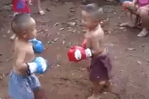 Phì cười với màn tỉ thí nắm đấm của hai cậu bé