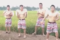 4 nam "thiên thần" nhảy cực sung trên cánh đồng