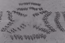 Màn trình diễn xe máy đỉnh nhất mọi thời đại