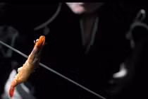 Kiếm sĩ Nhật Bản gây sốc với màn chém tôm bay 130km/h