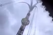 Những trò chơi kinh dị không dành cho người yếu tim