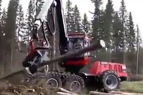 Cỗ máy chặt cây siêu khủng, siêu nhanh gây tò mò