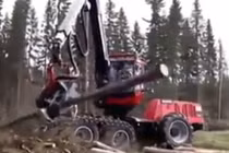 Cỗ máy chặt cây siêu khủng, siêu nhanh gây tò mò