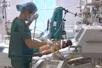 Một trường hợp suýt tử vong vì mắc liên cầu lợn 