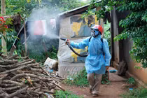 TP HCM tăng cường biện pháp diệt muỗi phòng bệnh do Zika