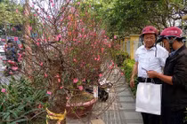 Một mùa Tết buồn với nhiều người bán hoa