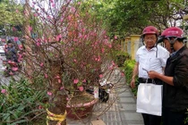 Một mùa Tết buồn với nhiều người bán hoa