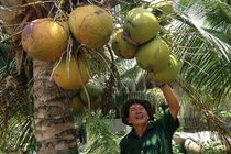 Kỳ diệu lão nông xây "biệt phủ" hoành tráng nhờ nuôi tôm, trông cây