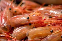 5 loại thực phẩm dù có ngon đến mấy cũng không nên ăn