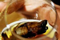 Cocktail kinh dị từ những ngón chân người 