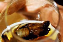 Cocktail kinh dị từ những ngón chân người 