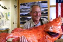 Những thủy quái khủng bị con người chinh phục (3)