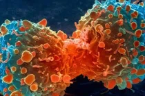 Đột phá trong chữa bệnh ung thư