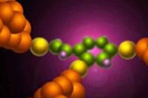 Mỹ tạo ra phân tử diệt tế bào ung thư