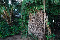 Xin ngủ lại một đêm xong trộm sạch tài sản của bạn