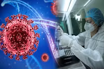 Chạy đua giải mã 'em trai' của biến thể Omicron